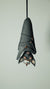 Mini bat (black and copper)