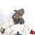 The Chirp Chamber - Exhibition preview only