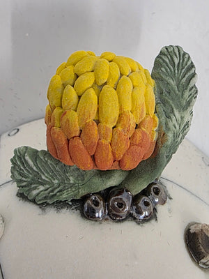 Banksia Pod - Exhibition preview only