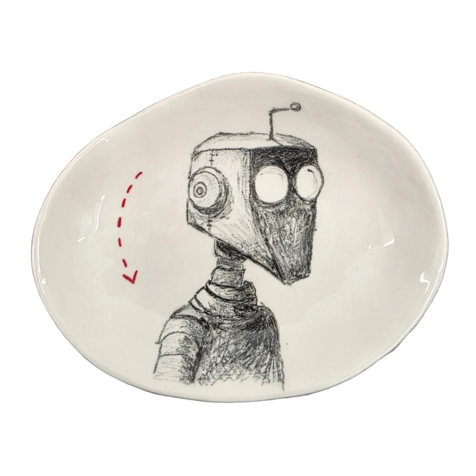 Robo dish #1