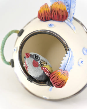 Bloom pod (with Banksias and firetail finch)