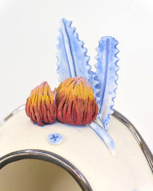 Bloom pod (with Banksias and firetail finch)