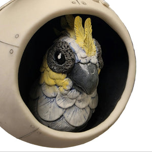 The Feathered Timekeeper #2